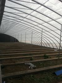 河南有蔬菜温室大棚安装公司 郑州温室大棚专业建造
