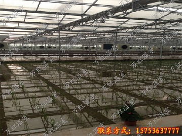 智能温室代理 潍坊市性价比高的pc玻璃育苗温室哪里有供应