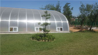 阳光板蔬菜温室建造, ,蔬菜温室