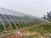 烟台蔬菜温室-四川蔬菜温室预算-四川蔬菜温室供应商